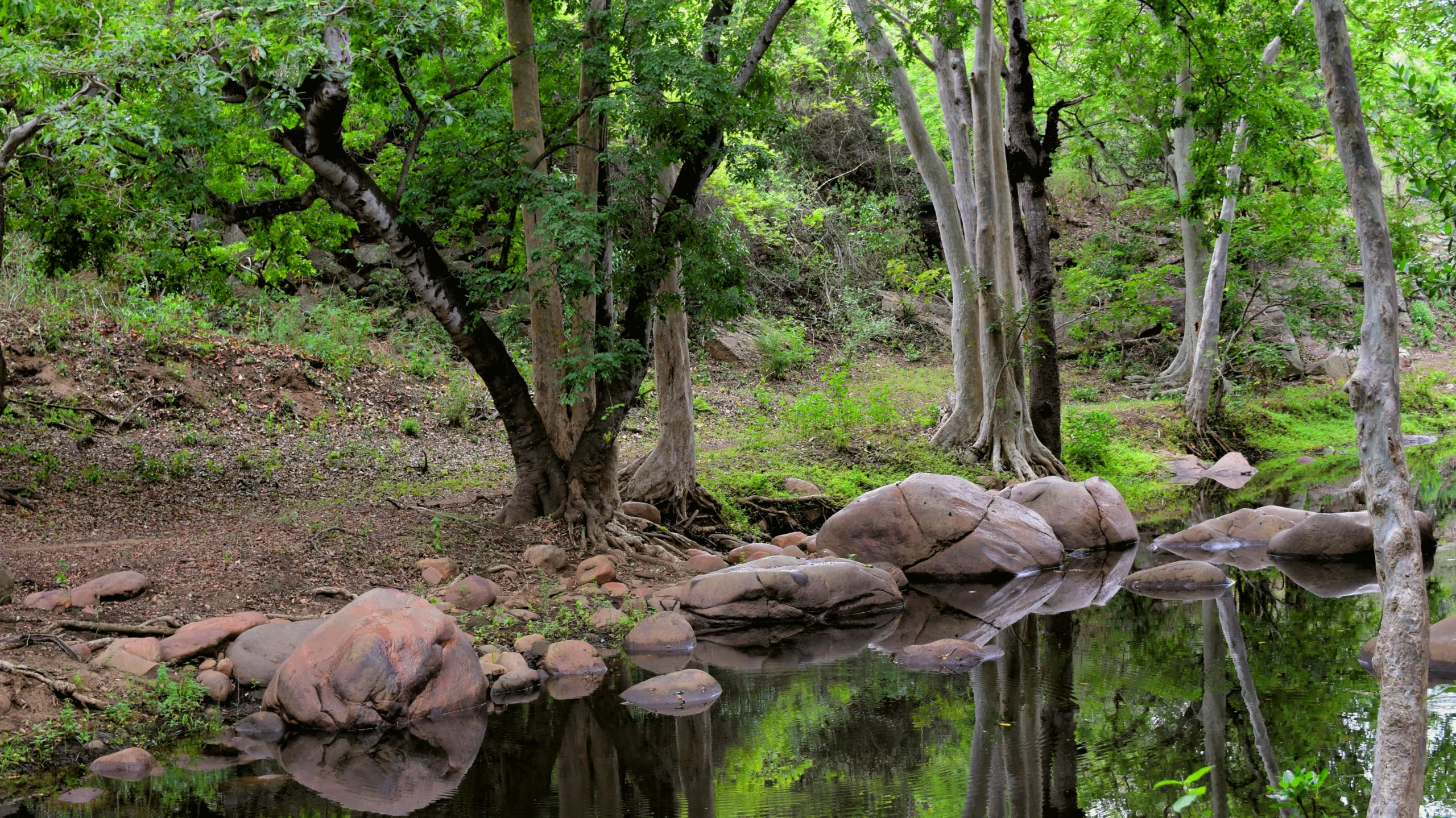 Chinnar Wildlife Sanctuary